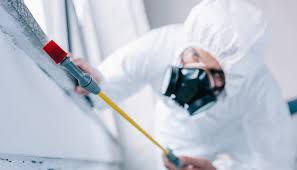 Best Pest Control for Multi-Family Homes  in Labasas, CA